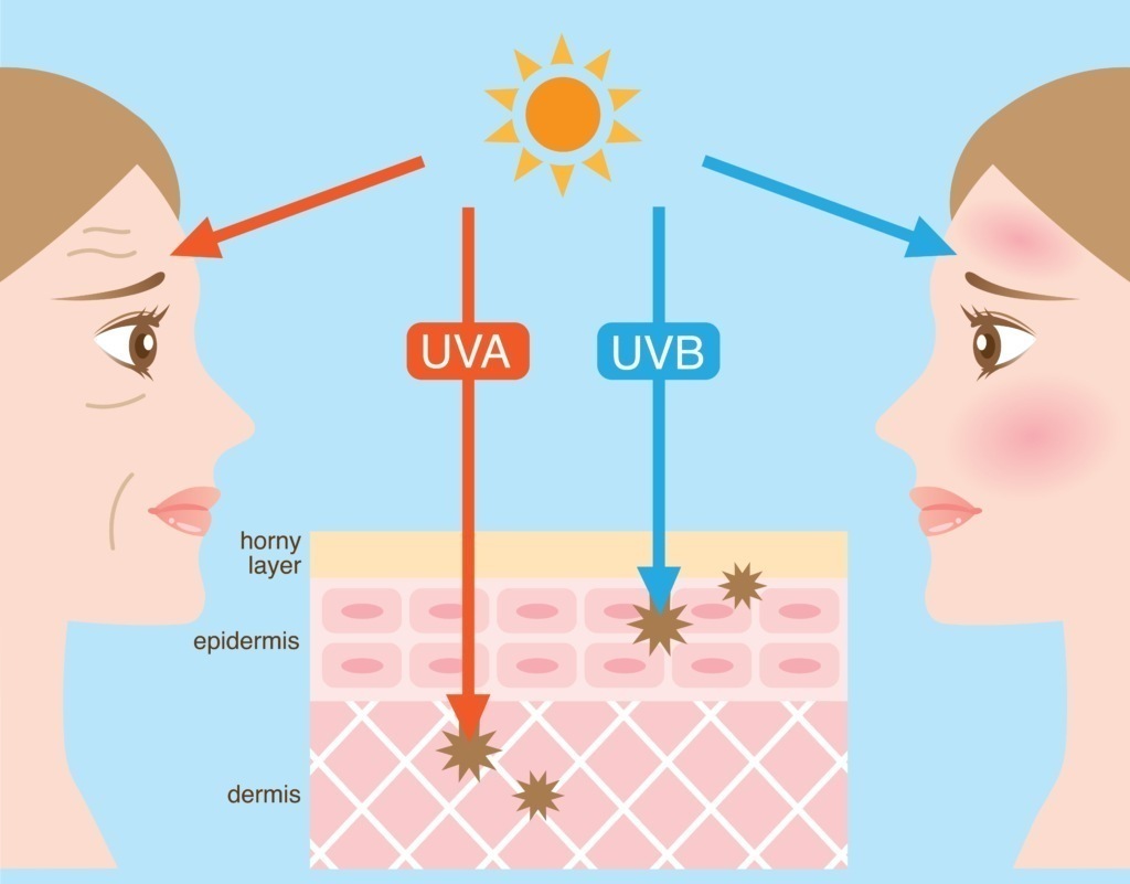 Infographic showing differences between UBA and UVB sunlight exposure.