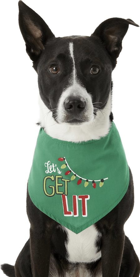 Gifts for Pets | NurturedPaws.com/Blog