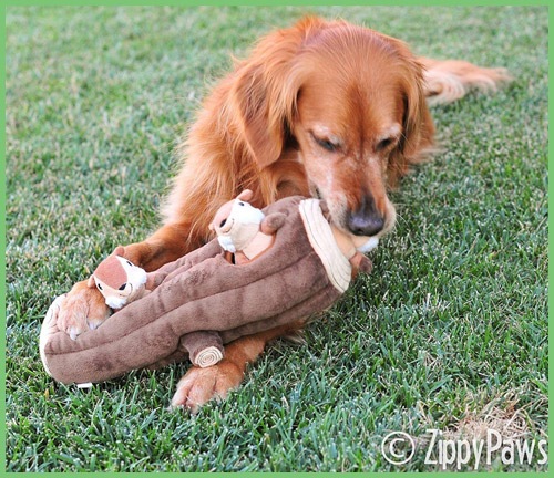 9 Gifts for Your Dog | NurturedPaws.com/Blog